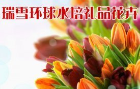 瑞雪环球水培礼品花卉（上地店） 海淀上地团购选购指南