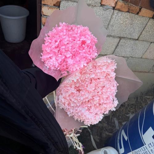 永生安娜绣球 跨越季节的浪漫，DIY你的专属花束